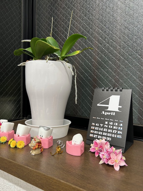 4月の診療日などのご案内